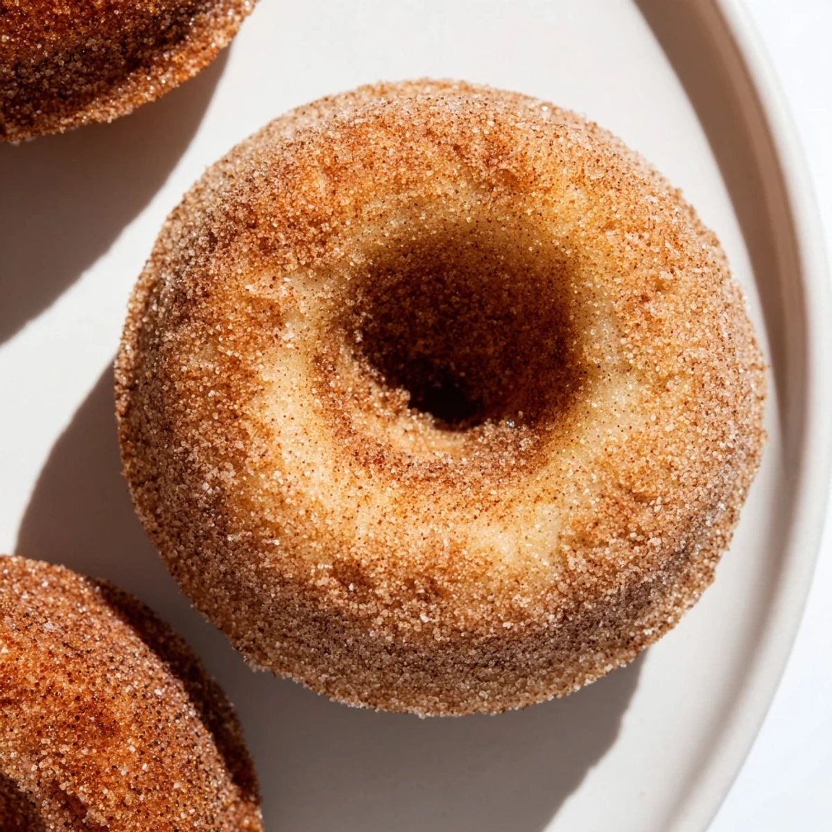 Cinnamon Sugar Soft Donuts