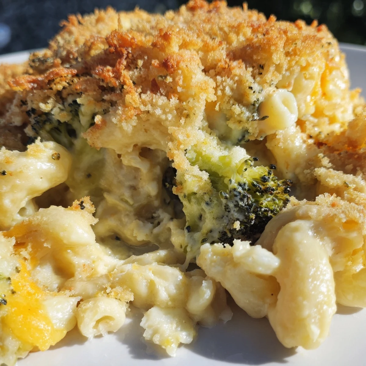 Golden Baked Macaroni and Cheese with Broccoli Florets bubbling in a dish with a crispy panko topping.